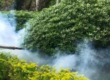 四害消殺完成后，需要做哪些鞏固工作呢？